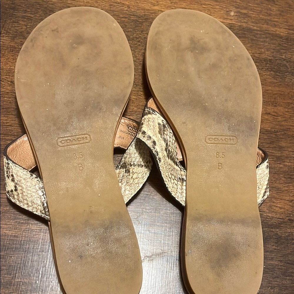 Coach Cream and Brown Sandals with Decorative Medallions - Picture 5 of 8